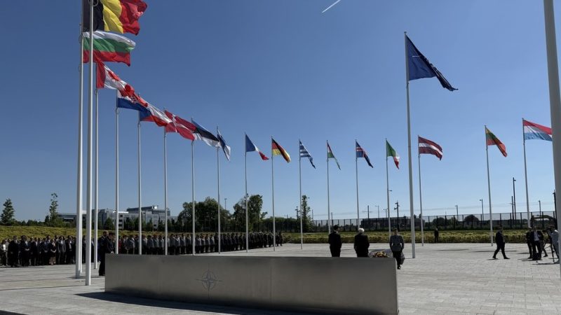 NATO Allies Express Dismay Over US Response to Alleged Russian Drone Incursion