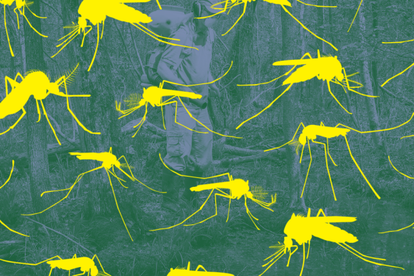 The Mosquito Menace: Climate Change Fuels a Vector-Borne Disease Crisis