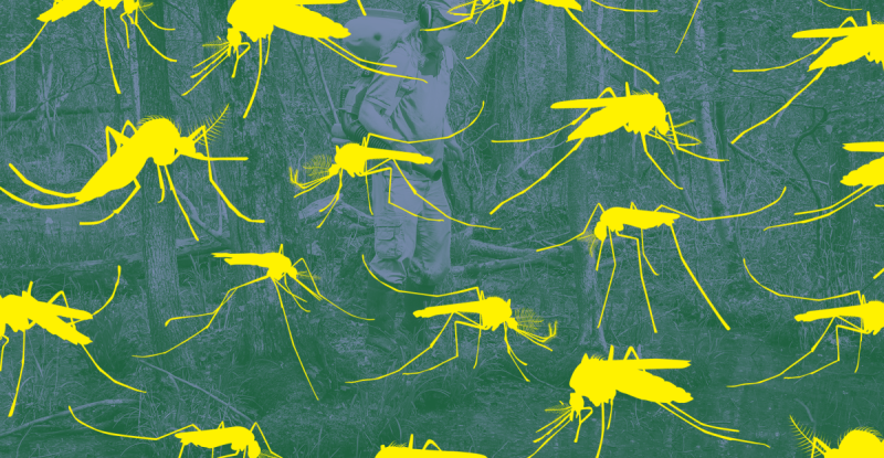 The Mosquito Menace: Climate Change Fuels a Vector-Borne Disease Crisis